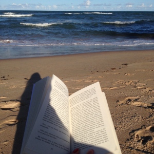 Livro Journaux de Voyage de Camus na paisagem de Itacimirim, Bahia